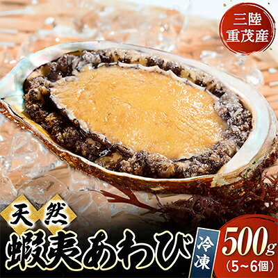 【ふるさと納税】【三陸重茂産】天然　蝦夷あわび(2号品)500g(冷凍)【配送不可地域：離島】【1519984】