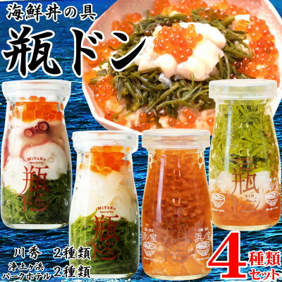 【ふるさと納税】海鮮丼の具 瓶ドン 川秀2種類 浄土ヶ浜パークホテル2種類 計4種類セット 岩手県宮古市名物_ 海鮮丼 瓶ドン 詰め合わせ 4種 イカ タコ 紅葉漬 サーモン いくら メカブ 海鮮 魚介 三陸 人気 冷凍 送料無料 岩手県 宮古市 【配送不可地域:離島】【1681386】|岩手県宮古市