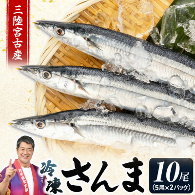 【ふるさと納税】三陸宮古産 冷凍さんま 10尾(5尾×2パック)【配送不可地域:離島】【1702568】