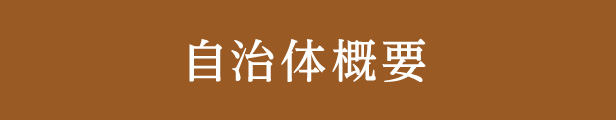 楽天市場】【ふるさと納税】三陸宮古の塩を使用した熟成牛タンスライス味付け 400g(200g×2)【1218448】 : 岩手県宮古市