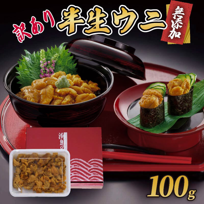 【ふるさと納税】 訳あり 岩手県産 半生うに 100g 冷凍 うに ウニ 雲丹 キタムラサキウニ ミョウバン不使用 ウニ丼 丼 おつまみ 晩酌 海鮮 海産物 珍味 日本三大珍味 三陸 岩手県 大船渡市