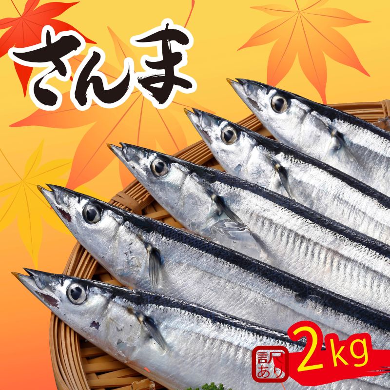 【楽天市場】【ふるさと納税】 訳あり さんま 約2kg 冷蔵 秋刀魚 サンマ 生サンマ 海産物 海鮮 魚介 魚介類 大容量 旬 大船渡 三陸 岩手県 国産 発送期日 2026年9月〜2026年11月中旬:岩手県大船渡市