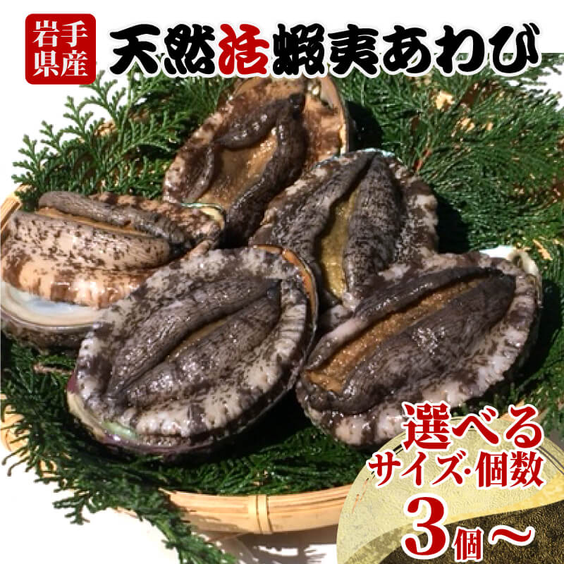 楽天市場】【ふるさと納税】 あわび 大サイズ 8個 約1.1kg 冷蔵 楽天市場】【ふるさと納税】 あわび 大サイズ 8個 約1.1kg 冷蔵