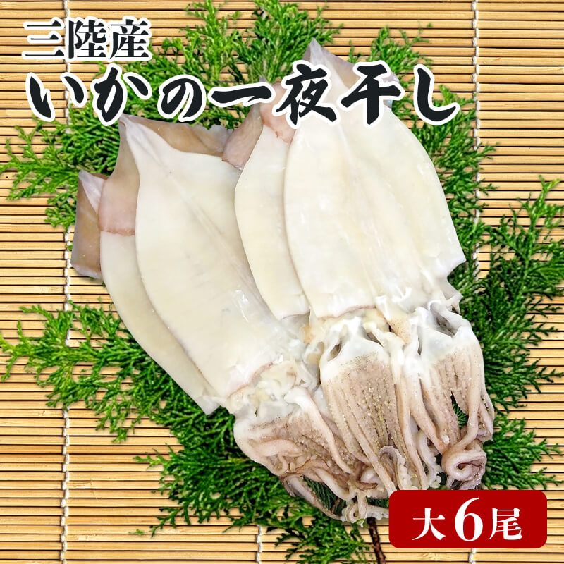 【ふるさと納税】 いか 一夜干し 大 6尾 いか イカ 烏賊 squid バーベキュー BBQ 炙り 炙り焼き 夕飯 おかず おつまみ 晩酌 海産物 海鮮 魚介 魚介類 大船渡 三陸 岩手県 国産