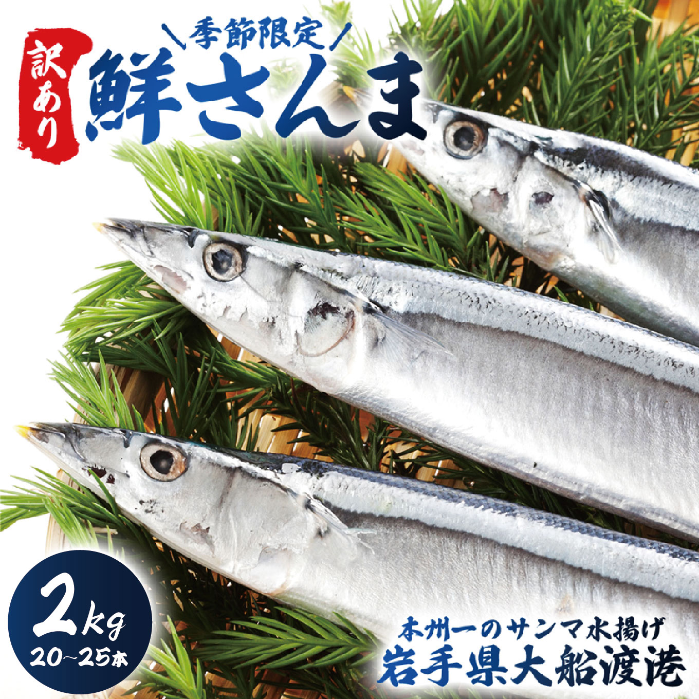 【ふるさと納税】 訳あり 鮮さんま 2kg 20~25本 大船渡産 岩手 さかな おさかな 魚 鮮魚 新鮮 生魚 焼き魚 FISH ごはん 夕飯 おかず おつまみ 晩酌 米 丼 海産物 海鮮 魚介 魚介類 大船渡 三陸 岩手県 国産 ごはん 夕飯 おかず 米 丼 三陸 10000円 1万円