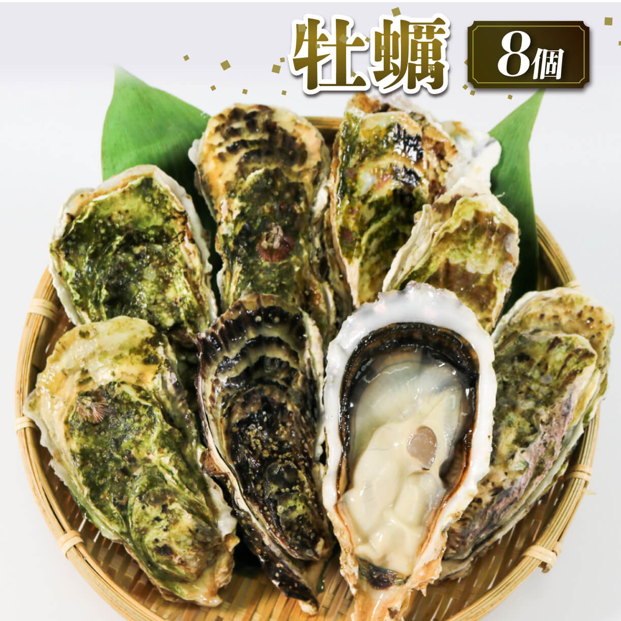 【ふるさと納税】 牡蠣 8個 殻付き 冷凍 生食用 かき 牡蠣 カキ  オイスター oyster アヒージョ バーベキュー BBQ フライ 揚げ物 ごはん 夕飯 おかず おつまみ 晩酌 米 丼 海産物 海鮮 魚介 魚介類 贈答品 お中元 大船渡 三陸 岩手県 国産