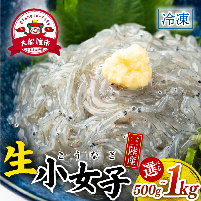 【ふるさと納税】 生 小女子(こうなご) 三陸産 数量限定 冷凍 刺身 生食 選べる容量 500g 1kg 小分け 刺身用 生食可能 小女子 こうなご 新子 しんこ イカナゴ 稚魚 新鮮 海鮮 魚介 国産 取り寄せ グルメ 急速冷凍 岩手 大船渡 岩手県 大船渡市