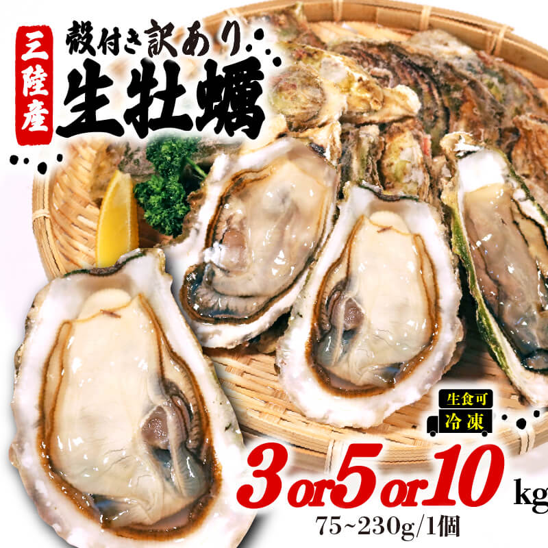 【ふるさと納税】 訳あり 牡蠣  3kg/5kg/10kg（生食可) かき カキ 冷凍 岩手県産 殻付き 生食 生食用 訳あり わけあり 大きさ不揃い 不揃い 三陸 三陸産  カンカン焼き かんかん焼き BBQ バーベキュー 貝 海 海のミルク 株式会社國洋 岩手県 大船渡市