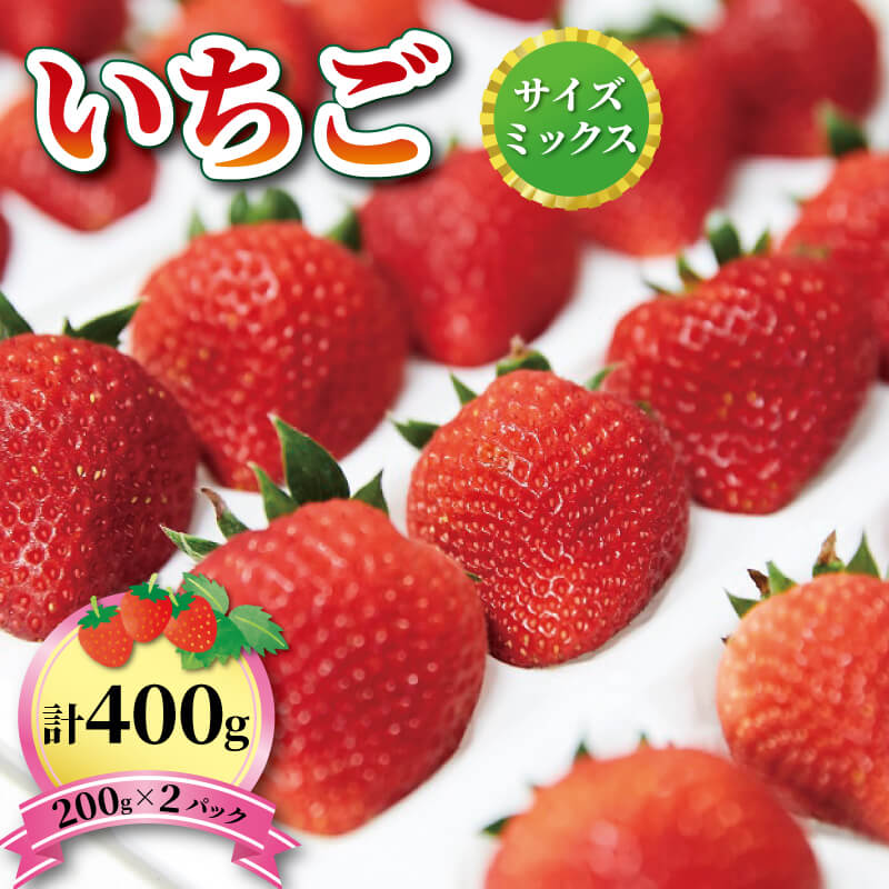 【ふるさと納税】 いちご 1種 400g  (200g×2) 1~5月お届け 品種おまかせ フルーツ 果物 苺 イチゴ なつあかり 信大BS8-9 夏のしずく 夏の輝 すずあかね リアスター 夏苺 夏いちご 予約販売  三陸産 大船渡 国産 期間限定 季節限定 7000円