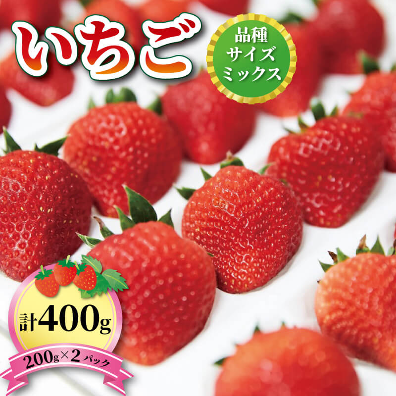 【ふるさと納税】 いちご 2種 400g (200g×2) 1～5月お届け 苺 果物 くだもの フルーツ おやつ ストロベリー strawberry 岩手県 大船渡市