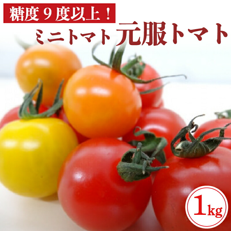 【ふるさと納税】 赤崎元服トマト(フルーツトマト) 1kg [12-6月発送] とまと トマト 野菜 リコピン 食品 旨味 ミネラル ビタミンC あまい 甘い 栄養 自宅用 お試し ごはん 夕飯 おかず サラダ 大船渡 三陸 岩手県 国産