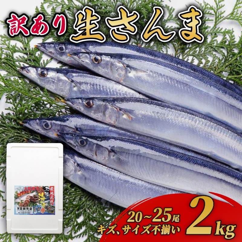【ふるさと納税】 【訳あり】 秋刀魚 約2kg 冷蔵 [発送:2025年9月～2025年11月末] さんま 生さんま 鮮さんま 鮮魚 ふるさと納税 不揃い 生サンマ 規格外 魚 焼き魚 旬 産地直送 季節 限定 海鮮 大船渡 三陸三陸 岩手 大船渡市 10000円