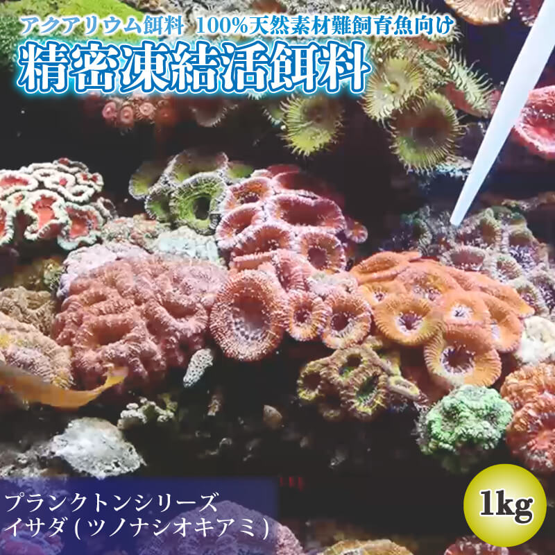 【ふるさと納税】 精密凍結活餌料 【業務用】イサダ(ツノナシオキアミ) 1kg(500g×2) 難飼育魚向け餌料 観賞魚 熱帯魚|岩手県大船渡市