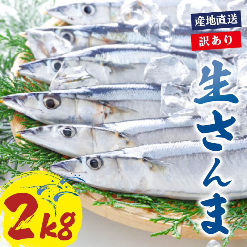 【ふるさと納税】 2025年先行予約 訳あり 鮮さんま 約2kg 冷蔵 サンマ 秋刀魚 発送予定：2025年9月中旬～11月末まで 限定 期間限定 旬 簡単調理 焼き魚 煮魚 フライ おかず おつまみ 晩酌 米 丼 海産物 海鮮 魚介 魚介類 三陸 岩手県 大船渡市