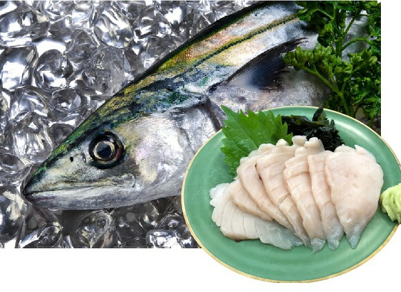 ふるさと納税 三陸産 さわらのお刺身500g 約50g 10パック 魚貝類 加工食品 さわらのお刺身 さわら Kanal9tv Com