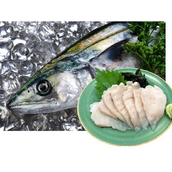 楽天市場 ふるさと納税 三陸産 さわらのお刺身500g 約50g 10パック 魚貝類 加工食品 さわらのお刺身 さわら 岩手県大船渡市