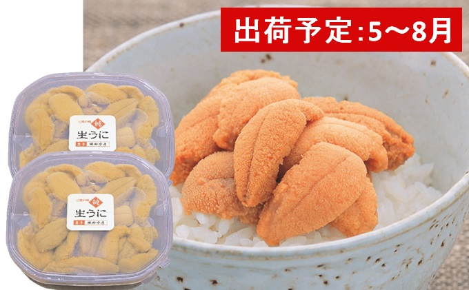 市場 ふるさと納税 無添加 120g×2パック 岩手県産 ミョウバン不使用 生うに 魚貝類 三陸 240g