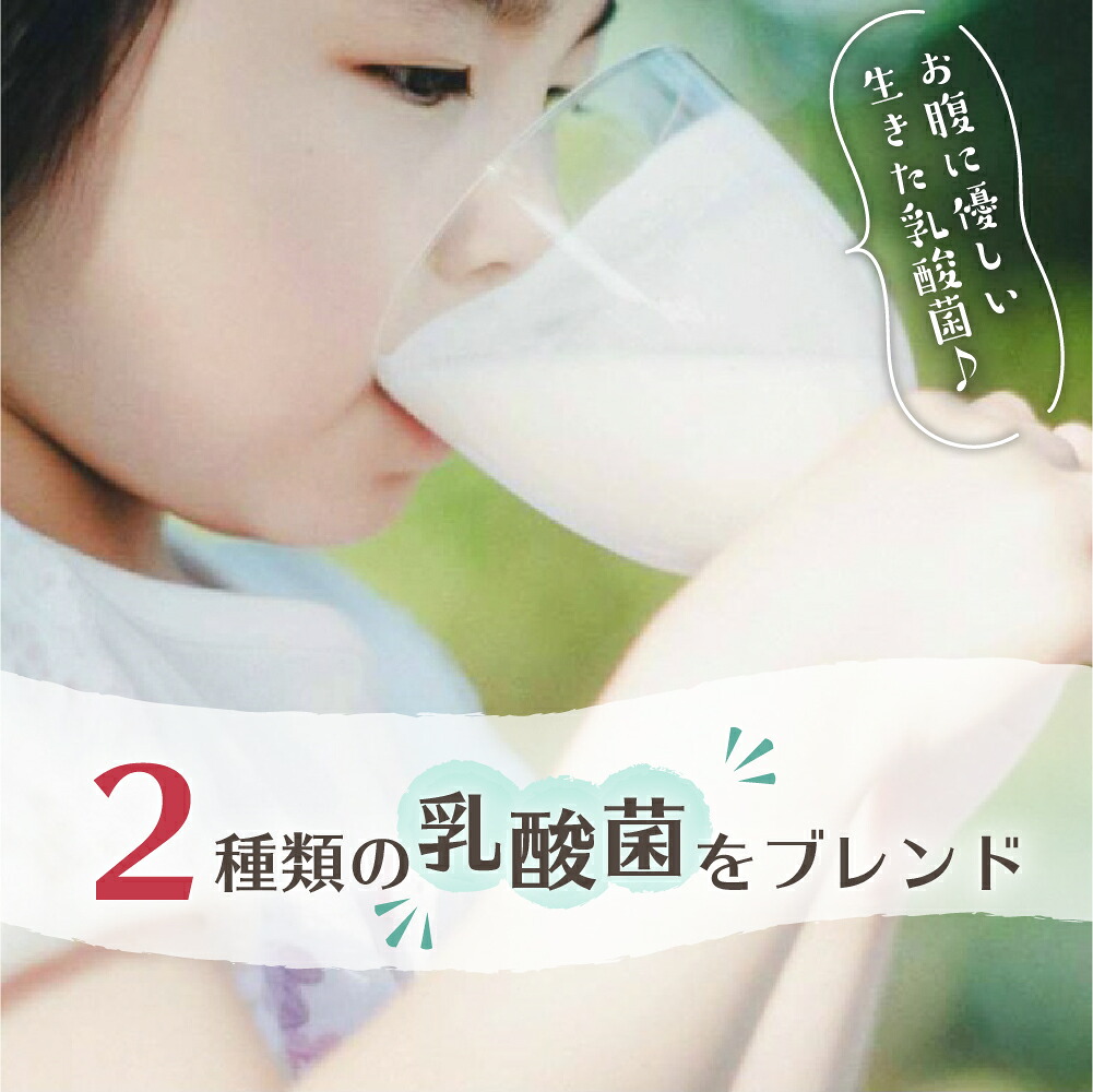 【ふるさと納税】岩手早池峰 のむ ヨーグルト 詰め合わせ セット(150ml×12本/720ml×2本) ギフト 生きた乳酸菌 免疫力 アップ 保存料不使用 父の日 母の日 お歳暮 お中元