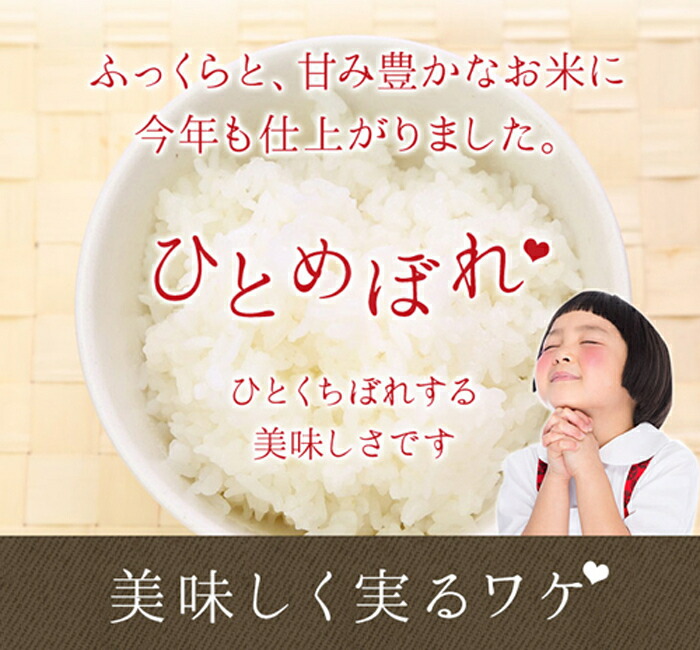 代引可】 ひとめぼれ 玄米 減農薬栽培 10kg 5kg×2袋 令和3年産 お米 qdtek.vn