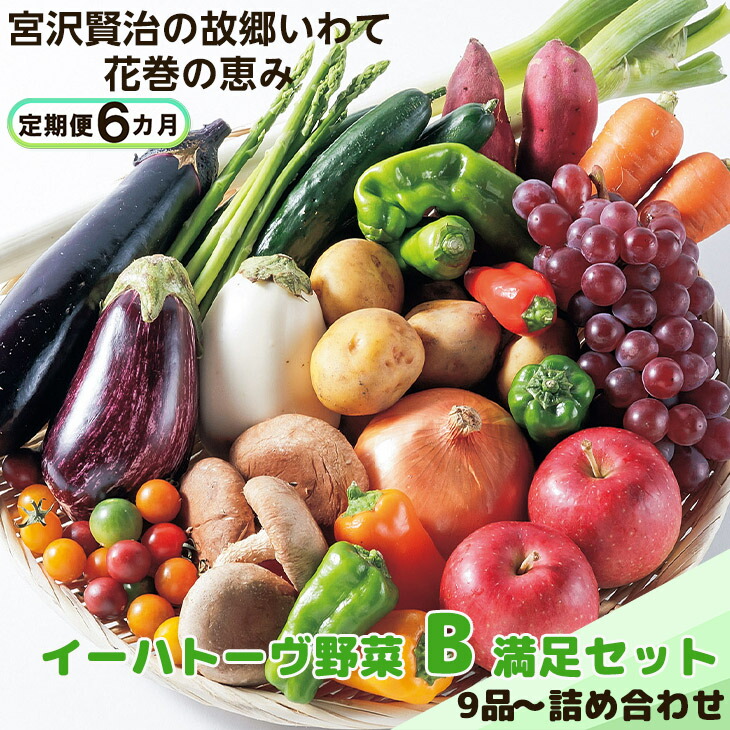 【ふるさと納税】《定期便6ヶ月》 イーハトーヴ野菜B 満足セット 9品~ ふるさと納税 野菜 定期便 お楽しみ 旬 冷蔵