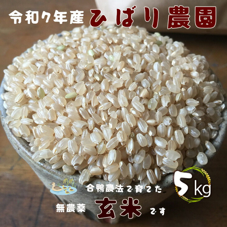 ふるさと納税 生命の農法（無化学農薬・無化学肥料栽培）お米（5kg）玄米 | 米 こめ コメ お米 おこめ オコメ 玄米 げんまい ゲンマイ 奈良県 五.. 奈良県五條市 生命の農法（無化学農薬・無化学肥料栽培）お米（5kg）玄米 | 米 こめ