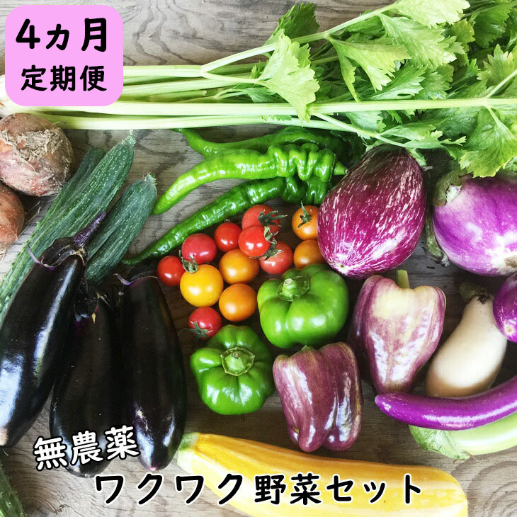 【ふるさと納税】【定期便 4回】 ひばり農園の無農薬ワクワク 野菜セット《 予約受付 6月より発送開始》  野菜定期便 新着 ふるさと納税 野菜 定期便