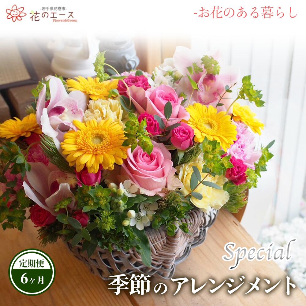 【ふるさと納税】【6ヶ月定期便】陽気のおまかせお花申し合わせ ＜特別＞ お花 差し上げ物 差し上げ物 申し立て付き添い人 送りとどける任じる日能力のある 新着
