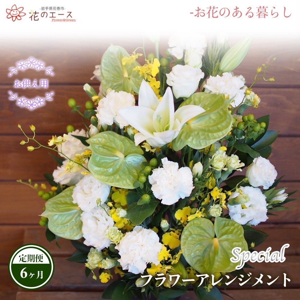 【ふるさと納税】【6ヶ月定期便】お花申し合わせ お供え用お花申し合わせ ＜特別＞ お花 差し上げ物 差し上げ物 申し立て付き添い人 送りとどける任じる日能力のある 新着