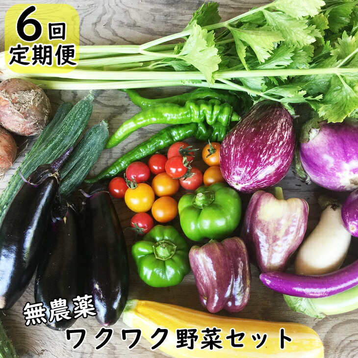 【ふるさと納税】【定期便 6回】 ひばり農園の無農薬ワクワク 野菜セット 《 予約受付 6月より発送開始》 <br>ふるさと納税 野菜 定期便