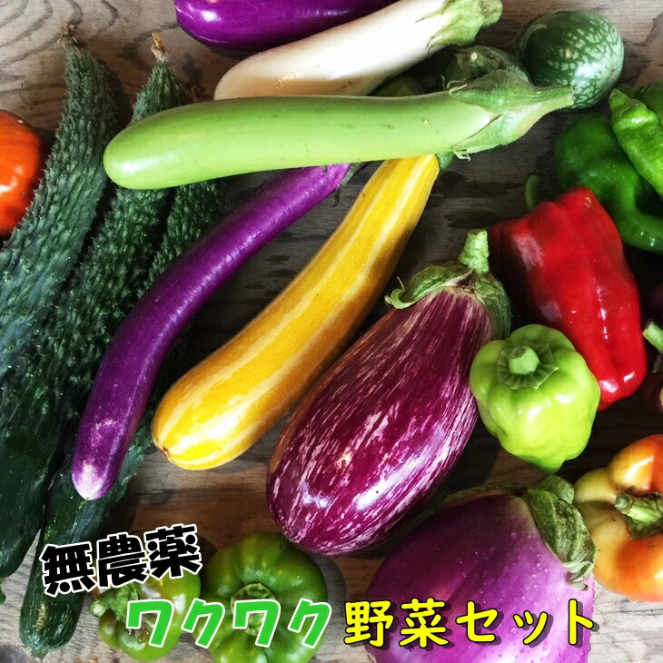 【ふるさと納税】ひばり農園の無農薬ワクワク野菜セット《 予約受付 6月より発送開始》 お楽しみ 野菜 詰め合わせ 7～10品 無農薬 野菜