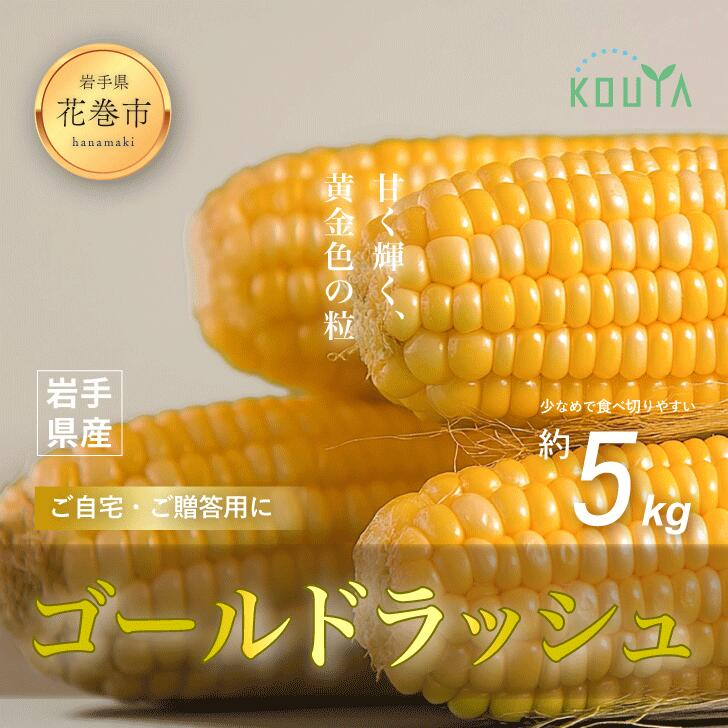【ふるさと納税】 《先行予約》 岩手県産 耕野のとうもろこし 「ゴールドラッシュ」 約5kg（10～15本） スイートコーン 農家直送 6月下旬より発送開始