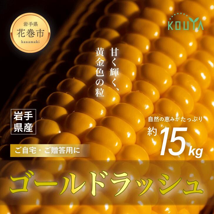 【ふるさと納税】 《先行予約》 岩手県産 耕野のとうもろこし 「ゴールドラッシュ」 約15kg（30～33本） スイートコーン 農家直送 6月下旬頃より発送開始