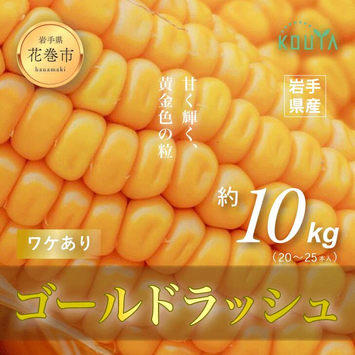 【ふるさと納税】 《先行予約》 【訳あり】 岩手県産 耕野のとうもろこし 「ゴールドラッシュ」 約10kg（20～25本） スイートコーン 農家直送 6月下旬頃より発送開始