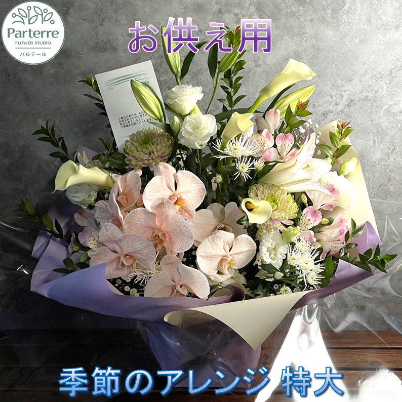 好いたらしい豚差し上げ物”GIFTON”