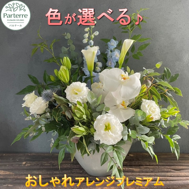 好いたらしい豚差し上げ物”GIFTON”