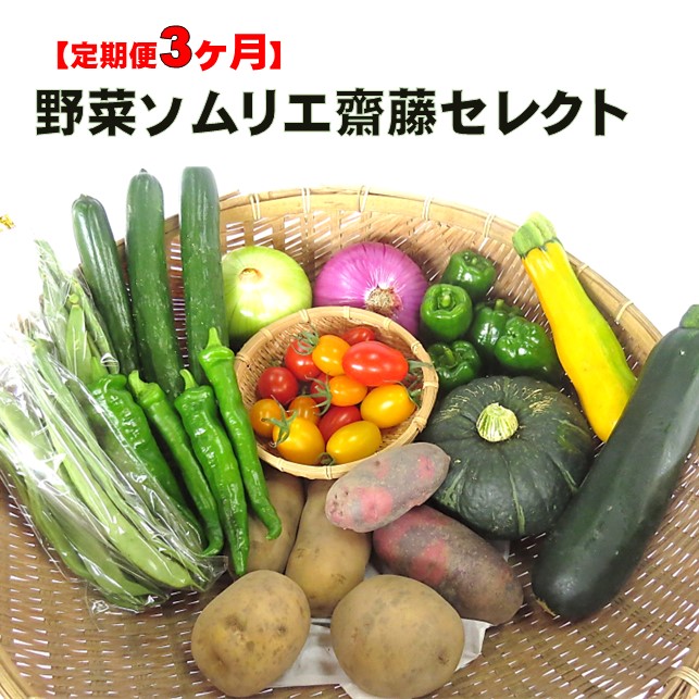 【ふるさと納税】【予約受付】2025年7月中旬発送予定【 定期便 】 野菜ソムリエ 齋藤セレクト 3ヶ月セット 旬 野菜 7品 以上 定期 詰め合わせ 岩手県 北上市 F0077 齋藤 智仁 たまねぎ にんじん ナス ピーマン パプリカ インゲン キャベツ ズッキーニ えだまめ とうもろこし
