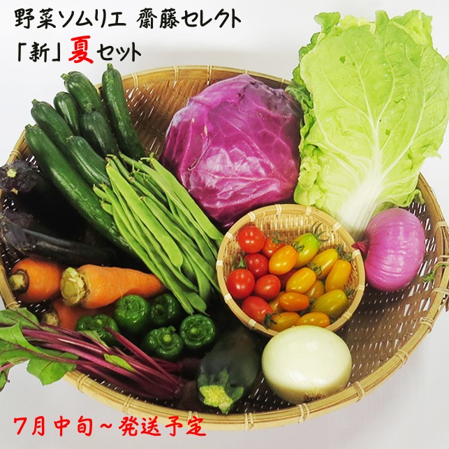 【ふるさと納税】【 2025年 7月～発送 予約受付 】野菜 ソムリエ 齋藤セレクト「新」夏 野菜 7種 以上 セット 国産 岩手 旬 野菜セット 詰め合わせ 岩手県 北上市 B0317 齋藤 智仁 ミニトマト たまねぎ にんじん ナス ピーマン キャベツ ズッキーニ えだまめ とうもろこし