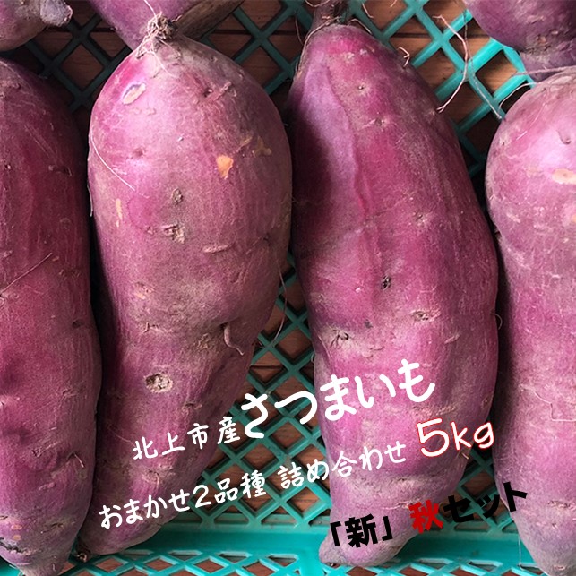【ふるさと納税】【予約受付 2025年産 】 野菜ソムリエ 齋藤セレクト「新」秋セット さつまいも 2種 (約 5kg ) セット 国産 岩手 サツマイモ 芋 野菜 セット シルクスイート パープルスイート 紅あずま 紅はるか 安納芋 岩手県 北上市 C0308 齋藤 智仁 ※令和7年10月中旬発送