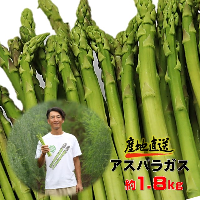 【ふるさと納税】採りたて 春の アスパラガス 約 1.8kg 新鮮 野菜 グリーン アスパラ 産地直送 国産 岩手県 北上市産 旬 不揃い サイズ アスパラ王子 石井建一 岩手県 北上市 D0432 春 夏 野菜