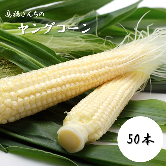 【ふるさと納税】【 先行 予約 2025年 6月 中旬 以降 発送開始】 高橋さんの ヤングコーン 50本 とうもろこし ヤングコーン 岩手 北上 北上市 野菜 とうきみ もろこし ひげ 新鮮！ 高橋 光