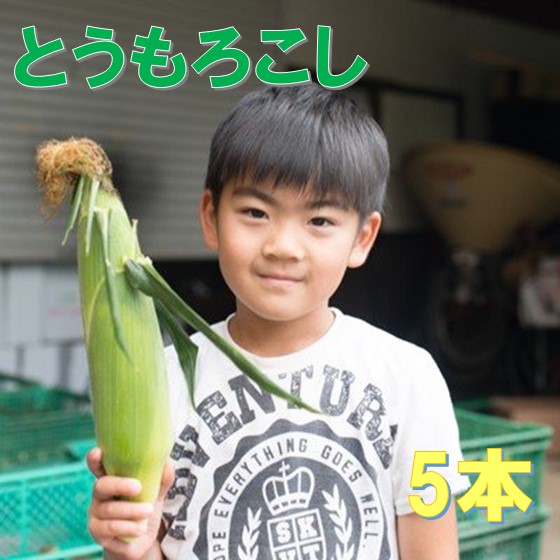 【ふるさと納税】☆ 予約受付 ☆2025年度【 メロン と同等の 糖度 14度以上】高橋さんのとうもろこし 5本 とうもろこし とうきみ もろこし 岩手 北上 新鮮 糖度 14度 ～ 予約 受付中 スイートコーン ヤングコーン 高橋 光