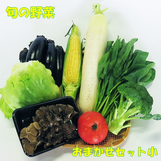 【ふるさと納税】【 平留商店 】鮮度抜群！こだわりの旬の野菜おまかせセット(小)（野菜６～７品）新鮮 野菜 セット 詰め合わせ 岩手 北上 ※5/11より寄附額変更となりました