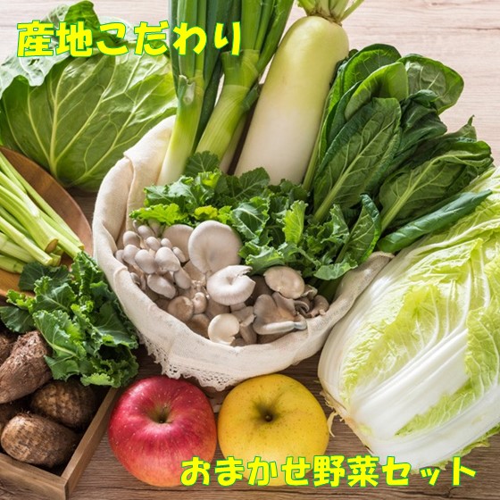 【ふるさと納税】平留商店のおまかせ 野菜セット ( 野菜 12品 程度 ) 岩手の恵みをお届け！ 産地 こだわり 新鮮 野菜 国産 岩手 北上 北上の野菜 自然の恵み 果物 岩手県 北上市 平留商店 ※5月より寄附額変更となりました