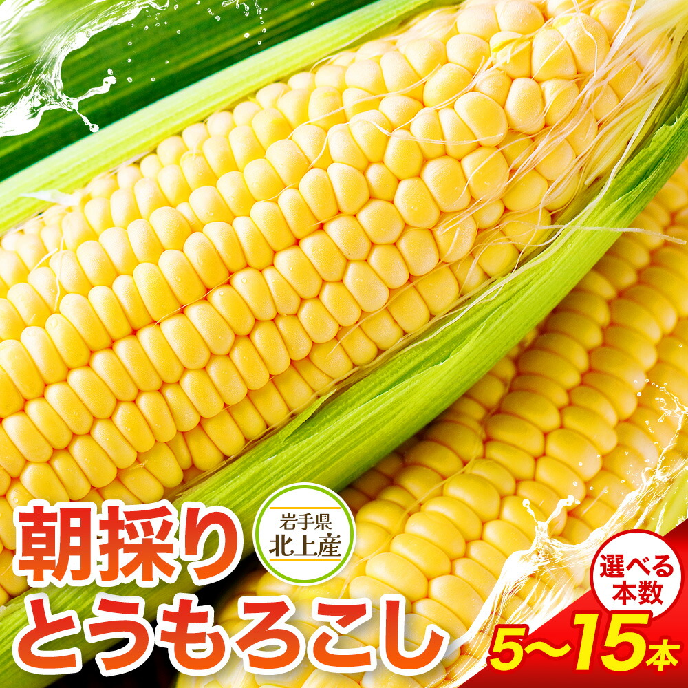 【ふるさと納税】予約受付【2026年7月中旬頃～発送開始】北上産のとうもろこし 5本 ･ 10本 ･ 15本 夏 旬 野菜 おやつ BBQ グリル 焼きとうもろこし 朝採 採れたて フレッシュ コーン 徳用 大容量 岩手県 北上市 展勝地 桜の名所 展勝地レストハウス
