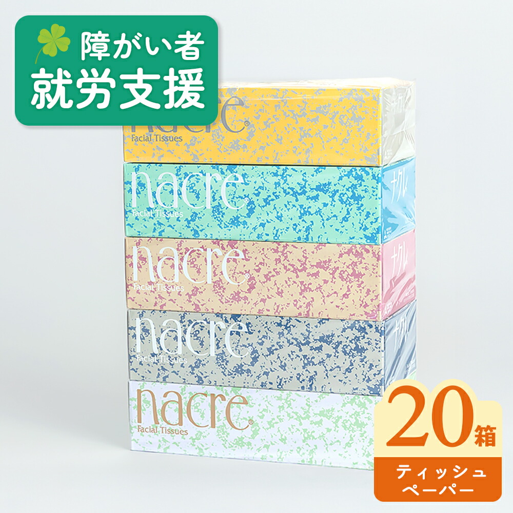 【ふるさと納税】福祉施設支援 ナクレ ティッシュペーパー 5箱 × 4セット 20箱 400枚 200組 無香料 ティッシュ ティシュー ボックスティッシュ BOXティッシュ 日用品 消耗品 防災 備蓄 まとめ買い 常備品 送料無料 北上アビリティーセンター 岩手県 北上市 C0579