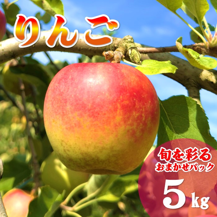 【ふるさと納税】【北上市産 りんご 】＼ 予約受付 9月中旬より発送予定／ 旬を彩るおまかせパック【 厳選 / 贈答用 】 5キロ (約13～20玉) 林檎 リンゴ 国産 東北 岩手 産地直送 フルーツ 果物 岩手県 北上市 D0452 手土産 プレゼント 贈り物 季節限定 金鈴園｜岩手県北上市