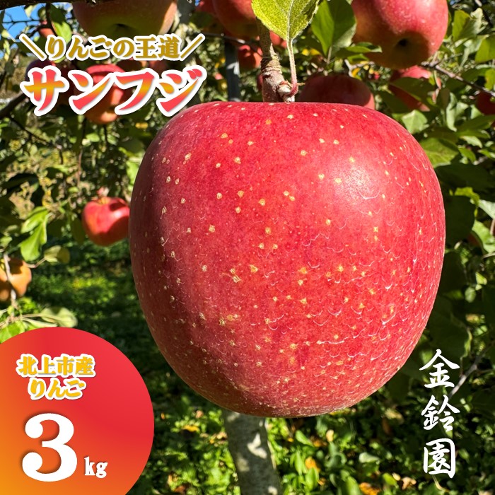 【ふるさと納税】＼ 予約受付 11月下旬発送予定 ／ 【 北上市産 りんご 】サンフジ 【厳選玉】 3キロ (約8～12玉) 贈答用 林檎 リンゴ サンふじ 3kg 国産 東北 岩手 産地直送 フルーツ 果物 岩手県 北上市 C0172 金鈴園 お土産 お取り寄せ グルメ 贈り物