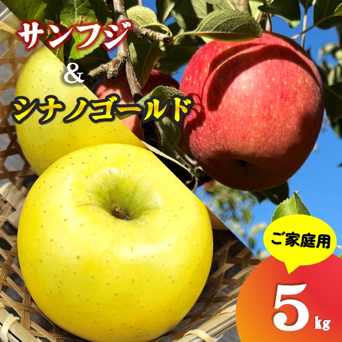 【ふるさと納税】【 北上市産 りんご 】＼ 予約受付 26年11月下旬 発送開始予定 ／ サンふじ ＆ シナノゴールド 【 家庭用 詰め合せ 】 5キロ セット (約13～20玉) 林檎 リンゴ 5kg 食べ比べ サン ふじ 国産 産地直送 果物 東北 岩手 金鈴園 岩手県 北上市 D0453 訳あり