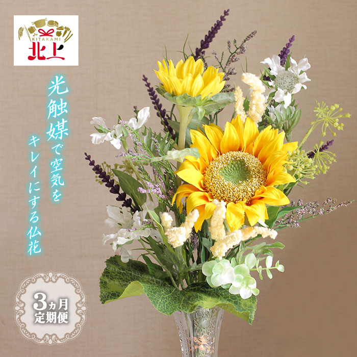 好いたらしい豚差し上げ物”GIFTON”