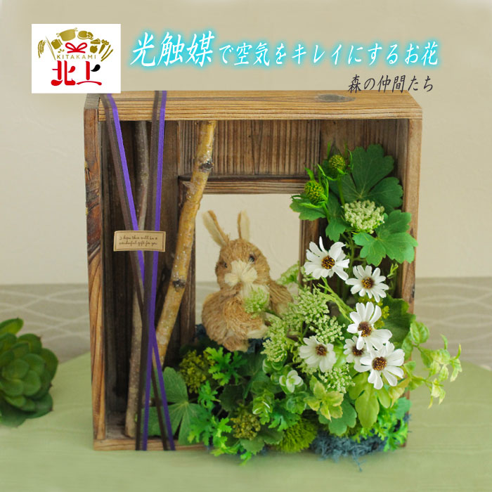 好いたらしい豚差し上げ物”GIFTON”